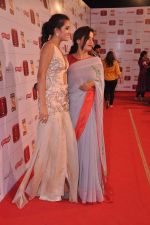 Monica Dogra at Stardust Awards 2013 red carpet in Mumbai on 26th jan 2013 (601).JPG